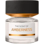 BMW The Scent of Amberness parfumska voda 50 ml unisex
