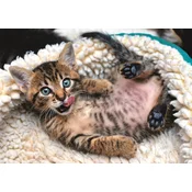 TREFL Puzzle Happy kitty 10448 - 1.000 delova