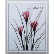 ŠTAMPA NA PLATNU   40/50 cm