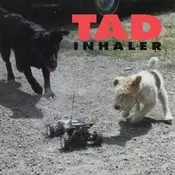 Tad - Inhaler (180 g) (LP)