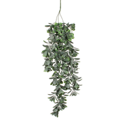 Dekordom Cvet crassula 79cm 1021018 - green - edl ( 040427 )