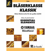 DE HAAN:BLASERKLASSE KLASSIK TUBA