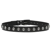Pas Skull - PAS-236