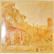 Foot Ox - Judee & The Sun (LP)