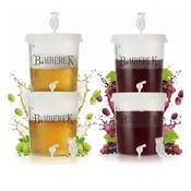 shumee Komplet 4 fermentacijskih posod 33l cev + pipa brezbarvno vedro ZA vino