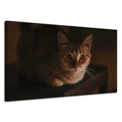 shumee Platno s tiskom Živali Domača mačka 120x70 cm