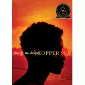 Copper Sun