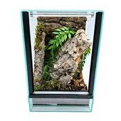 shumee Stekleni terarij z opremo 20x20x30cm komplet za drevesne pajke