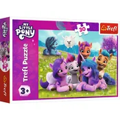 Puzzle 30 poni