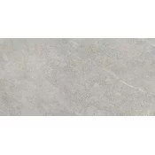 ARENITE GREY 60x60