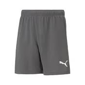 Puma Hlače siva 170 - 175 cm/S Teamrise