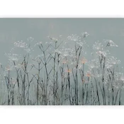 artgeist Fototapeta Garlic Flowers, 400x280cm