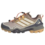 ADIDAS TERREX Nizki čevelj Skychaser slonovina/temno siva