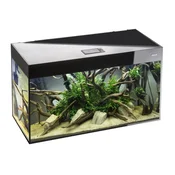 Aquael akvarij Glossy ST 80 Day&Night, črn - 125 L/80 x 35 x 54 cm