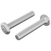 vidaXL vidaXL Vijak za zaklep glave 2 pcs srebrna M6 x 35 mm Jeklo, (5000163919)