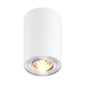 Zuma Line 45519-N - Spot svetlo RONDOO 1xGU10/50W/230V bela