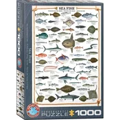 EuroGraphics Puzzle Morske ribe 1000 kosov