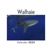 Walhaie (Wandkalender 2024, Kalender DIN A4 quer, Monatskalender im Querformat mit Kalendarium, Das perfekte Geschenk)