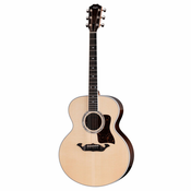 TAYLOR LEGACY 815e