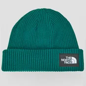 The North Face  SALTY LINED BEANIE  Zelena
