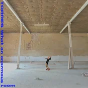Torres - What An Enormous Room (Limited Edition) (LP)