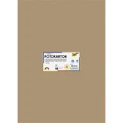 Deokorativna kartica, obostrana, 50x70 cm, 300 g/m2, 10 listova, FOLIA, losos-smeda 6175