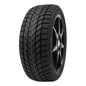 DELINTE zimska pnevmatika 175 / 65 R15 84T WD6