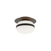 Plafonsko svetlo PALMA 1xE27/40W/230V crno