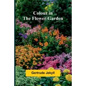 Colour In The Flower Garden