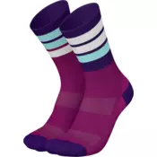 INCYLENCE Nogavice INCYLENCE MERINO STRIVE