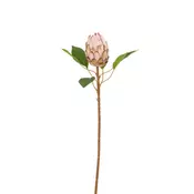 PROTEA