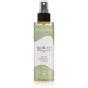 Tomas Arsov Sprej za volumen in toplotno zaščito las Blow Up (Thermo Volumizing Spray) 150 ml