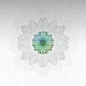 Tuomas Paukku - Description (LP)