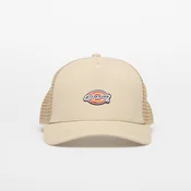 Čepica Dickies Hanston Trucker Eucalyptus Universal