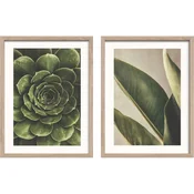 Tiskane slike v kompletu 2 ks z okvirjem 30x40 cm Beauty Green – Styler