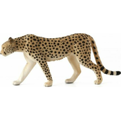Moj gepard