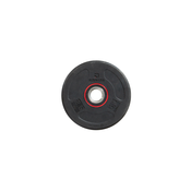 CORENGTH Gumeni teg od livenog gvožđa (prsten 28 mm, 2,5 kg) 2,5kg