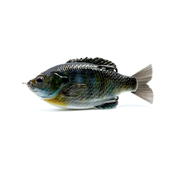 Vobler Savage Gear DC Slide Gill 6,5cm