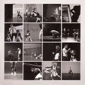 Peter Broderick - Music For Falling From Trees (LP)