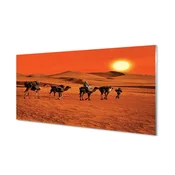 tulup.si Zidna obloga za kuhinju Kamele ljudje puščavsko sonce nebo 125x50 cm