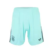 ADIDAS PERFORMANCE Športne hlače DFB mornarska/voda