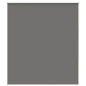 Vidaxl Rolo zatemnjena siv 120x175cm tkanina širina 116,6cm poliester
