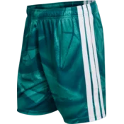 adidas Kratke hlače Germany Home Goalkeeper 2026