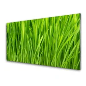 tulup.si Steklena slika Grass nature rastlin 120x60 cm 4 obešalnika