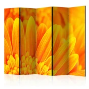 artgeist Paravan Yellow Gerbera Daisies Ii, 5-Delni, Dvostranski