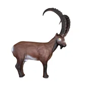 Eleven Target 3D Ibex with Insert and Horns