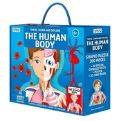 The human body. Travel, learn and explore