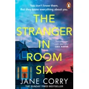 Stranger in Room Six
