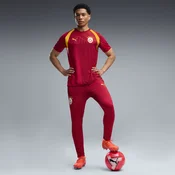 PUMA Galatasaray S.K. Slim Training Pants Men, Clothing, Dark Cherry/Summer Sunset, XS