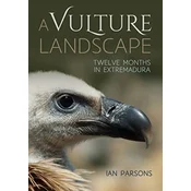 A Vulture Landscape